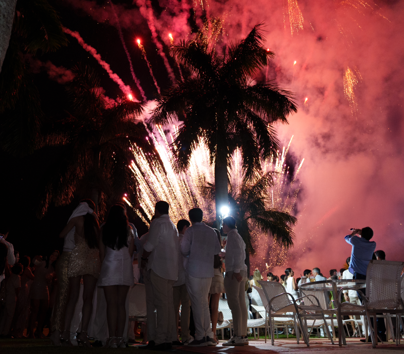 ALPHAVILLE-2026-(308)